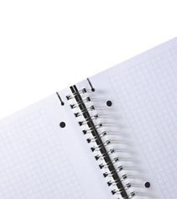 Spirāļbloks A4 / 80 гон. перейти к черному