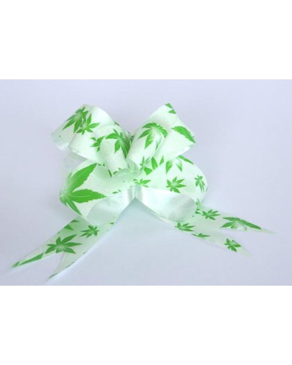 Лента дополнительно затянут 42см 1gb