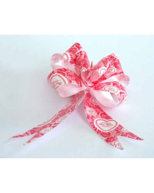 Лента дополнительно затянут 42см 1gb