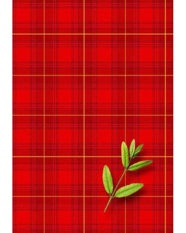 KLade A4 / 500 ROU.C. Квалификация