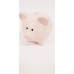 Сберегательный экипаж Piggy Pastel