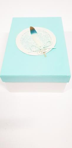 Подарочная коробка 22X15cm пастели с пером