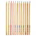 Карандаши 12 цвета древесины Herlitz