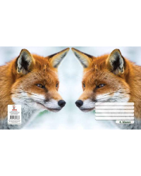 Тетрадь 4.klasei типы Freko 4