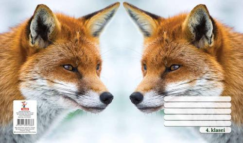 Тетрадь для 4 класса - Freko Тетрадь для 4 класса - Freko