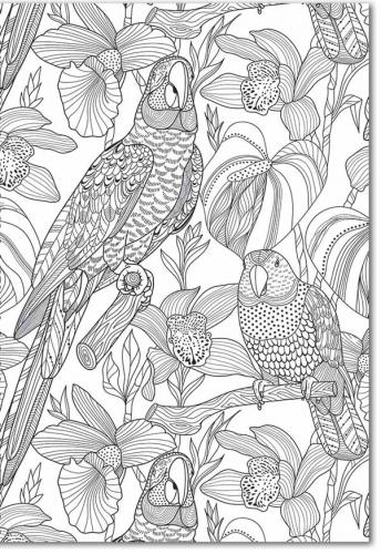 Klade A4 / 48 Page Box Mandalas