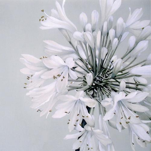 Салфетки 33х33 / 20 белый красота