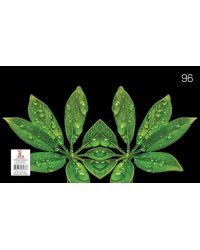 Тетрадь  A5 / 96 страниц в линейку