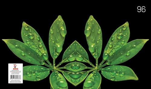 Тетрадь  A5 / 96 страниц в линейку