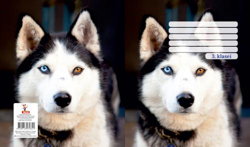 Оценка 3 типа Рабочая тетрадь 4