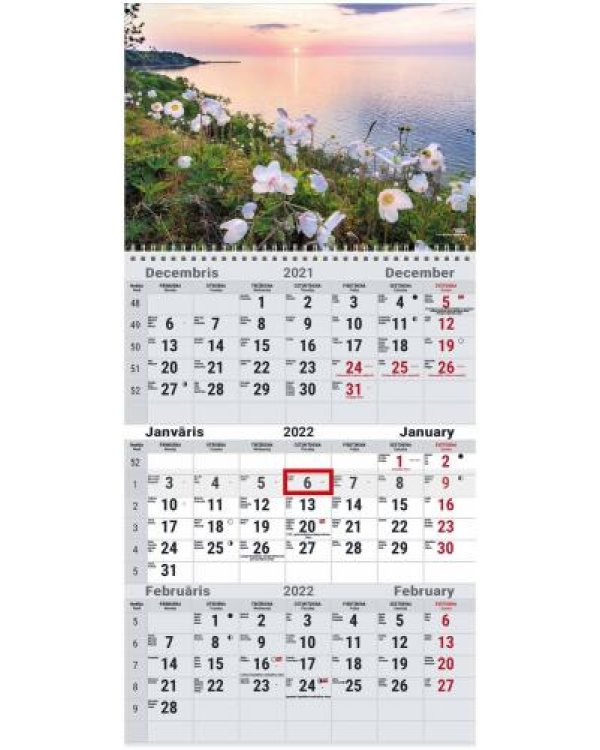 Sienas kalendārs OFFICE  2022