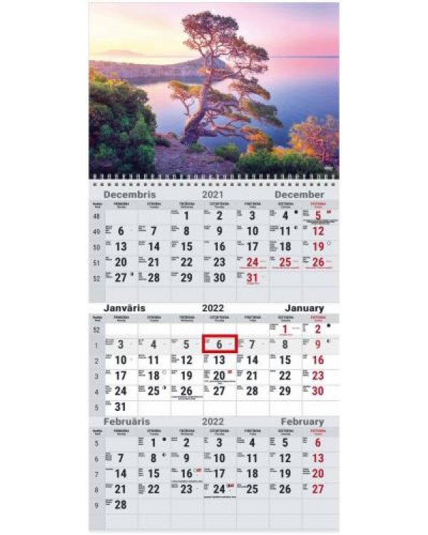 Sienas kalendārs OFFICE  2022