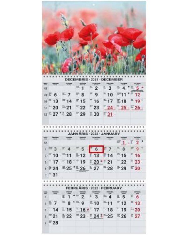 Sienas kalendārs OFFICE EXTRA 2022