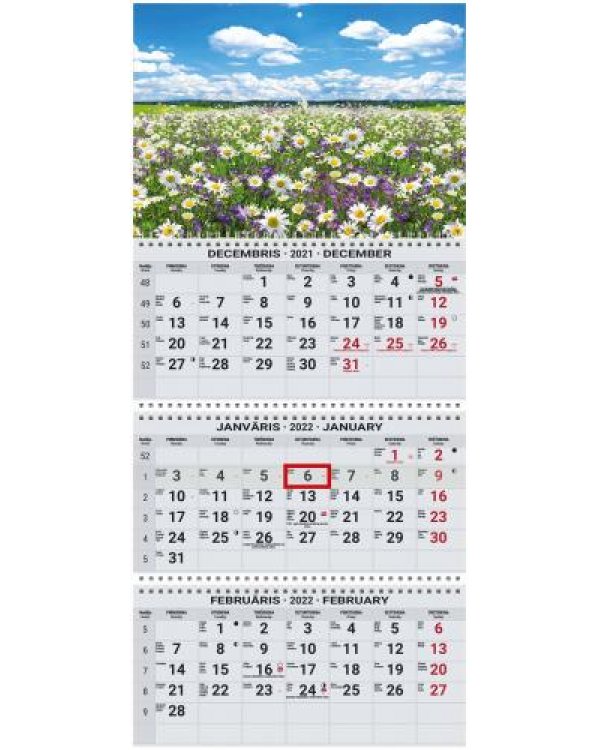 Sienas kalendārs OFFICE EXTRA 2022