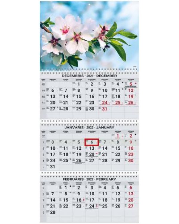 Sienas kalendārs OFFICE EXTRA 2022