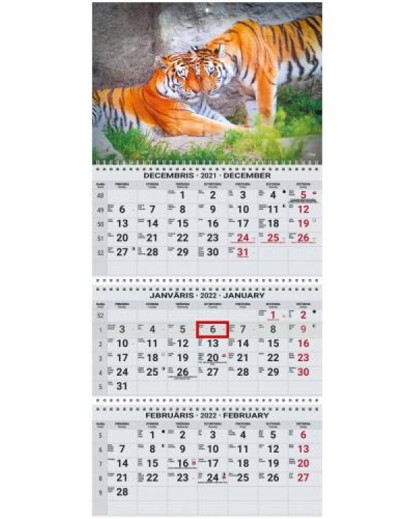 Sienas kalendārs OFFICE EXTRA 2022