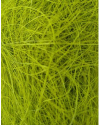 Sizālis salātzaļš 50g