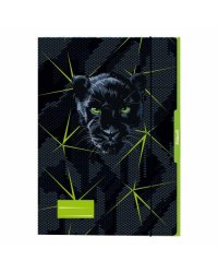 Mape A3 ar gumiju,kartona Pantera