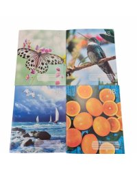 Klade A5/48lpp līnīju