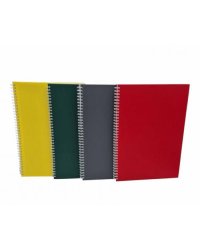 Spirālklade  A4/100 4mm rūt.krāsaina plastikā vāks