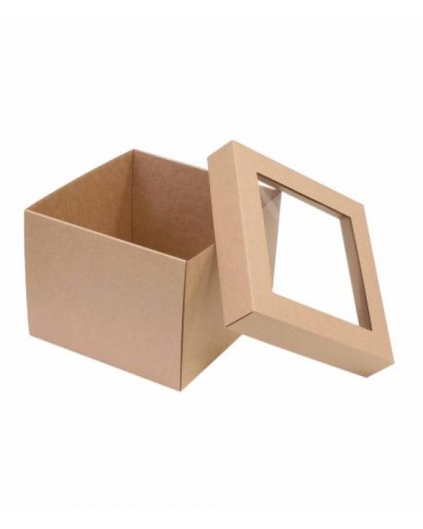 Mikrogofras kaste  20x20x16 cm ar logu