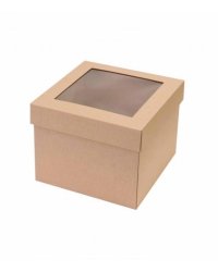 Mikrogofras kaste  20x20x16 cm ar logu