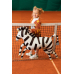 Foil balloons Zebra, 115x85 cm, mix Foil balloons Zebra, 115x85 cm, mix