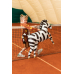 Foil balloons Zebra, 115x85 cm, mix Foil balloons Zebra, 115x85 cm, mix