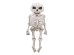 Foil Balloon Skeleton XXL, 46x129 cm, mix