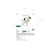 Foil balloon Dog on wheels, 70x59 cm, mix