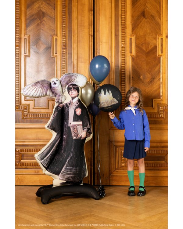 Дополнительное изображение книги «Standing foil balloon Harry Potter with Hedwig, 90x145 cm, black»