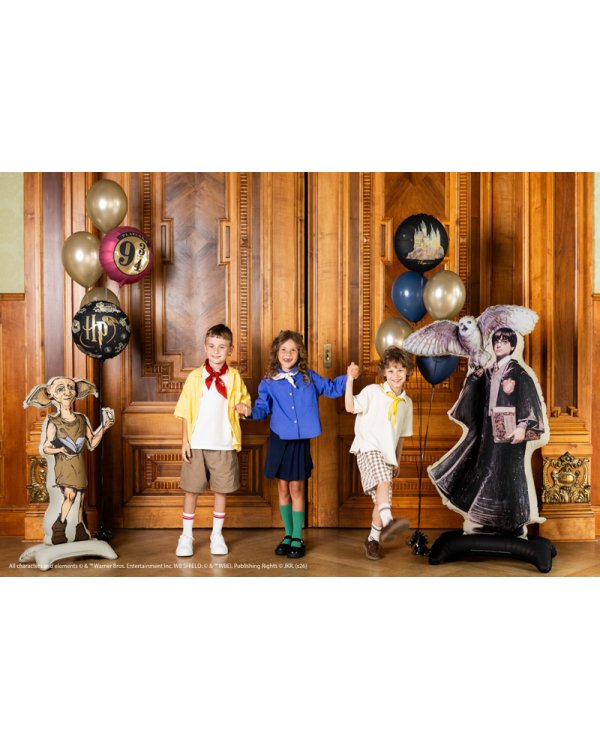 Дополнительное изображение книги «Standing foil balloon Harry Potter with Hedwig, 90x145 cm, black»