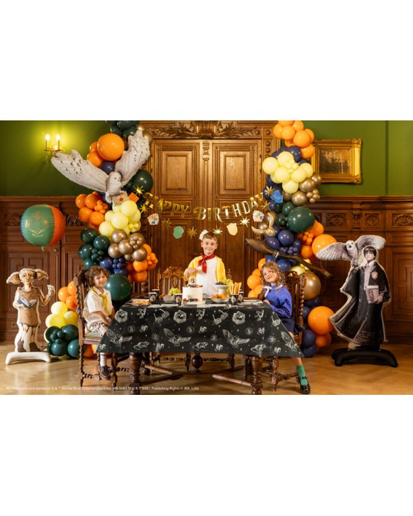 Дополнительное изображение книги «Standing foil balloon Harry Potter with Hedwig, 90x145 cm, black»