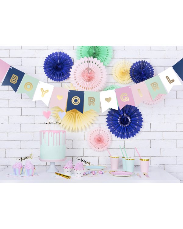 Banner Boy or Girl, mix, 15 x 175 cm