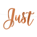Banner Just Married, rose gold, 20x77cm