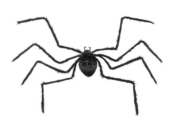 Spider Decoration, black, 21.5x13cm