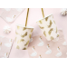 Paper cups Lovely Swan, 220ml (1 pkt / 6 pc.)