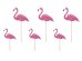 Toppers Aloha - Flamingos, 15-23.5cm (1 pkt / 6 pc.)