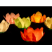 Floating lanterns, mix, 29cm (1 pkt / 6 pc.)