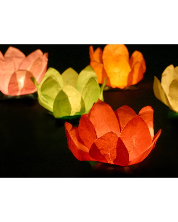 Floating lanterns, mix, 29cm (1 pkt / 6 pc.)