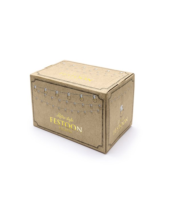 Festoon LED lights, white, 5m, doesn't contain UK plug