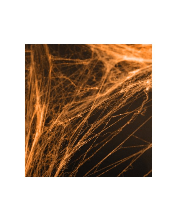 Spiderweb Halloween, orange, 60g