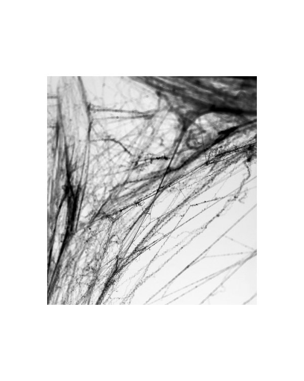 Spiderweb Halloween, black, 60g