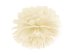Tissue paper Pompom, cream, 25cm