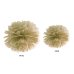 Tissue paper Pompom, gold, 35cm