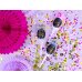 Confetti push pop, mix