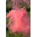 Color Smoke Bomb ''It's a Girl'', 22.5 cm, pink (1 pkt / 5 pc.)