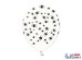 Balloons 30 cm, Spiders, Crystal Clear (1 pkt / 6 pc.)