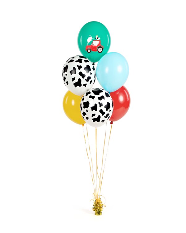 Balloons 30 cm, Farm, mix (1 pkt / 6 pc.)