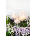 Floating candle disc, matt, white, 4cm (1 pkt / 50 pc.) Floating candle disc, matt, white, 4cm (1 pkt / 50 pc.)